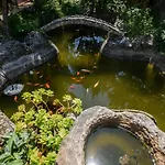 Vikeli Τρογκίρ