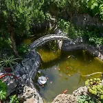 Vikeli Τρογκίρ