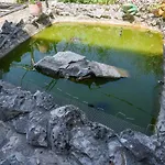 Vikeli Τρογκίρ