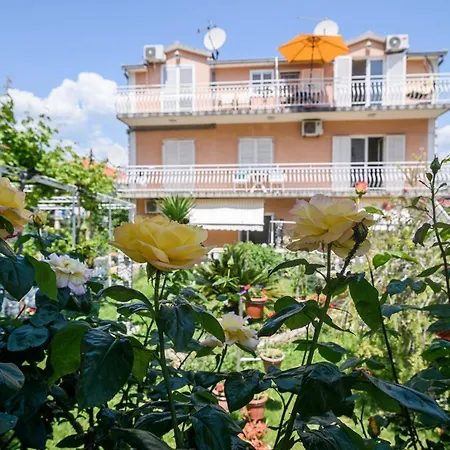 Apartament Vikeli *